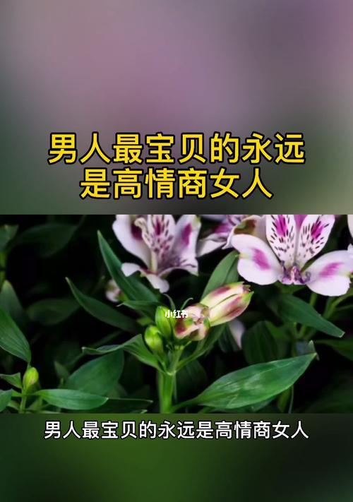 高情商，救回失散的友情（如何利用情商去挽回一段破裂的友谊）