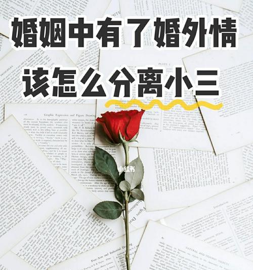 如何巧妙反击第三者的挑衅言论（掌握三种有效反击策略）