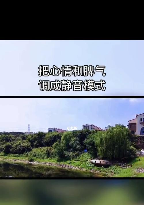 人生无悔，但有几样东西不能挽回（了解这几点）